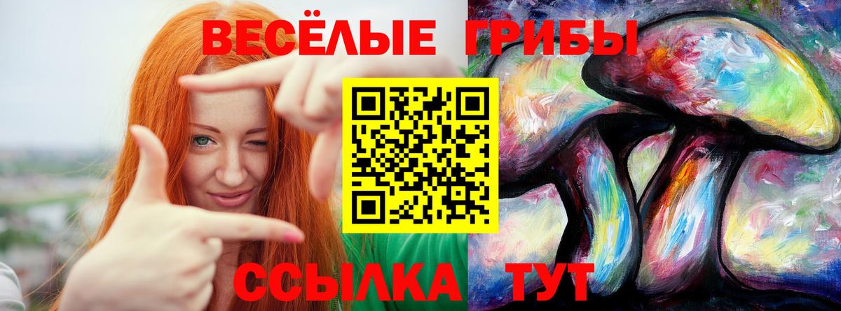 Псилоцибиновые грибы Psilocybe Слободской