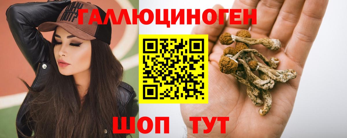 Галлюциногенные грибы Magic Shrooms  Вход с VPN  Слободской  Псилоцибиновые грибы Cubensis 